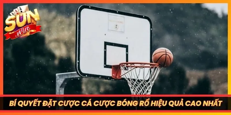 Bí quyết đặt cược cá cược bóng rổ hiệu quả cao nhất