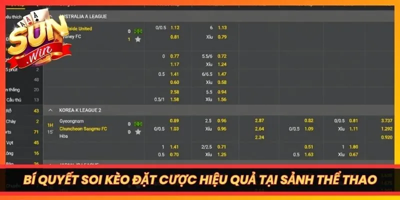 Bí quyết soi kèo đặt cược hiệu quả tại sảnh thể thao