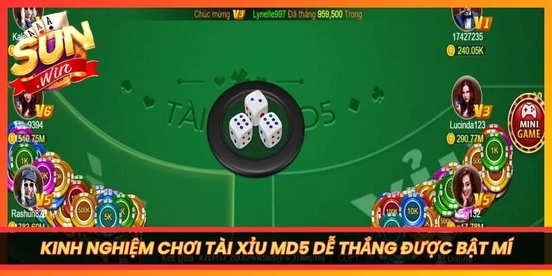 Kinh nghiệm chơi Tài Xỉu MD5 dễ thắng được chuyên gia bật mí